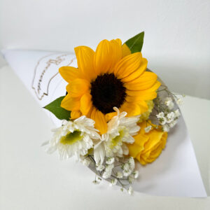 Little Cone Primaveral.